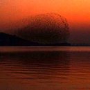 푸른감(푸른感) 이미지