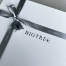 빅트리(Bigtree) | [광주전남/본식스냅] 광주본식스냅추천 빅트리 BIGTREE🌳 - 더 시그너스 웨딩홀 분위기🤍