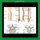 엘리나 필라테스 이미지