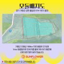 행운 태양광 발전소 이미지