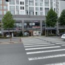 경북공업고등학교 횡단보도 이미지