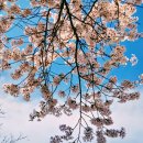 북리미용실