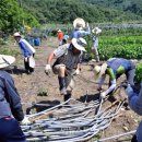 세종시_의회사무처 이미지