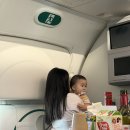 주주항공 | 9개월 아기랑 발리여행 준비물 & 싱가포르항공 이코노미 후기