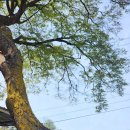 객현2리 이미지