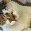 서울과학기술대학교 학군단 이미지