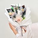 드플로레