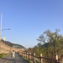 능내자전거도로(봉주르)[능내-5] | 팔당 아이랑 팔당자전거 대여하는 곳 벚꽃 나들이(WITH 봉주르 카페)