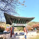 피아골 단풍공원 | 지리산 피아골 단풍 시기 구례 연곡사 주차장