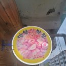 가음동 은아아파트 | 가음동 현지인 맛집 / 밀양생막창