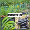 해원농장 이미지