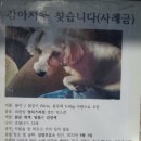 상암주유소 이미지