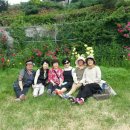 여자7단 야유법회(진안 원연장마을 꽃축제) 이미지