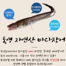미친장어 이미지