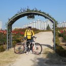 가든갤러리 이미지