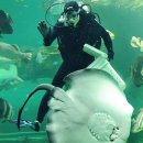 스카이게임랜드 이미지