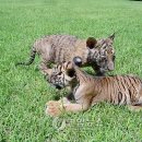 달성공원관리사무소 이미지