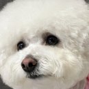 엠에스그루밍 이미지