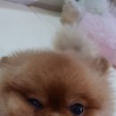 오독오독