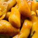 도림핫스타 이미지