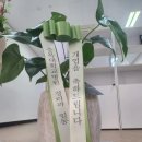 소현세무회계 네이버블로그