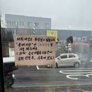 워시테리아올레