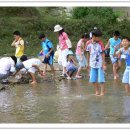 적량초등학교 이미지