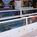 군산 은모래해물탕.아구찜 이미지