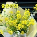 비비스포츠댄스