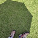창공대 그늘집 네이버블로그