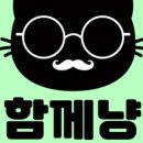 함께냥 전주점 이미지