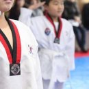 국가대표 한빛태권도 이미지