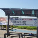 피클볼피플 이미지