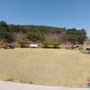 전원향기펜션 이미지