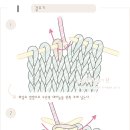 [겉뜨기]대바늘 도안기호와 뜨는 방법. 손뜨개(뜨개질)강좌 이미지