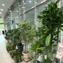 꽃수레화원 이미지