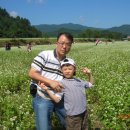 가사목장 이미지