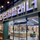 오룡안경 | 대전 중구 태평동 안경플래너 후기, 아빠 효도안경 맞춘 솔직 리뷰