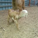 정오농장 이미지