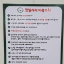 팻 빌리지 이미지