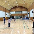 오아시스 이미지