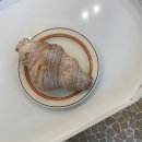 오마이크로와상(OMC)