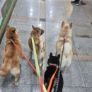 워니시티 이미지