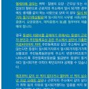 (주)비피도 | 혈육놈 대퇴골 골절 후기