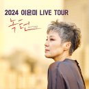 이은미 콘서트 이미지