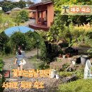꽃피는 봄날 | 제주 성산 가족 숙소 추천 서귀포 꽃피는봄날펜션 귀여운 버섯 모양 방 후기