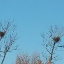 청룡빌딩 앞 이미지