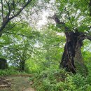 남양1리 경로당 이미지