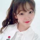 마이딩고 이미지