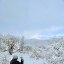 제2산록도로 광평교차로 | 제주 1100 고지 겨울 오름 삼형제큰오름 눈구경 제주 설경 명소 1100도로 드라이브